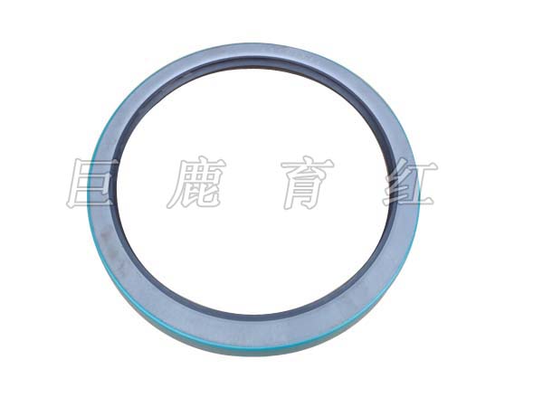 TR100 Oil seal 09062605 TR100 Oil seal 09062605